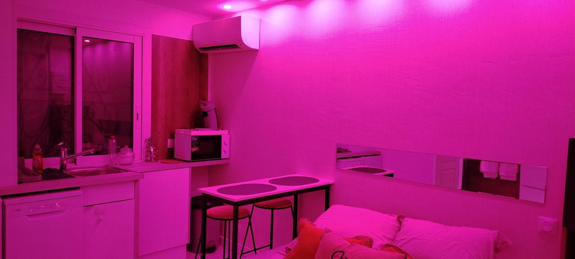Studio Cosy Balneo Avec Jardin Ле-Баркарес Екстер'єр фото
